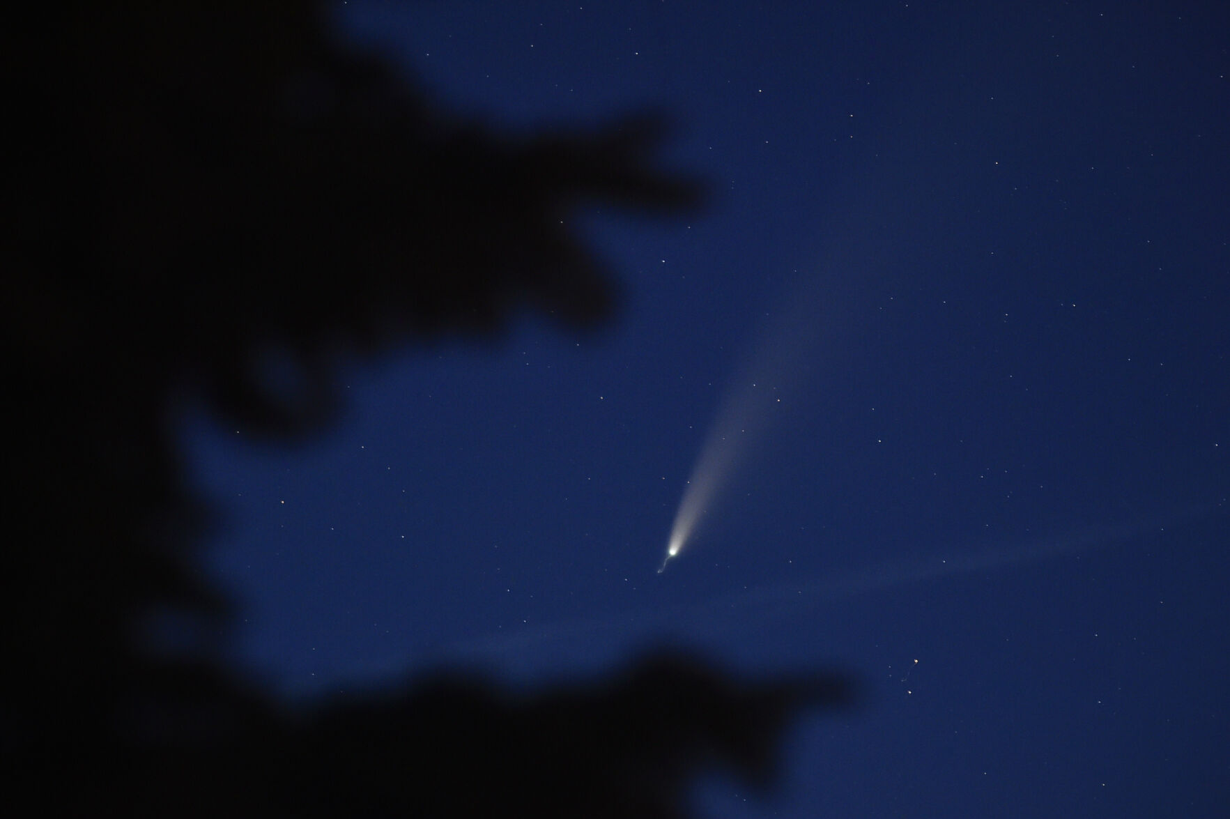 neowise comet